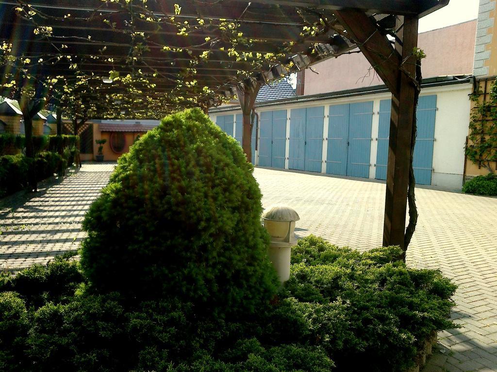 Hotel Weisse Taube Döbeln Esterno foto